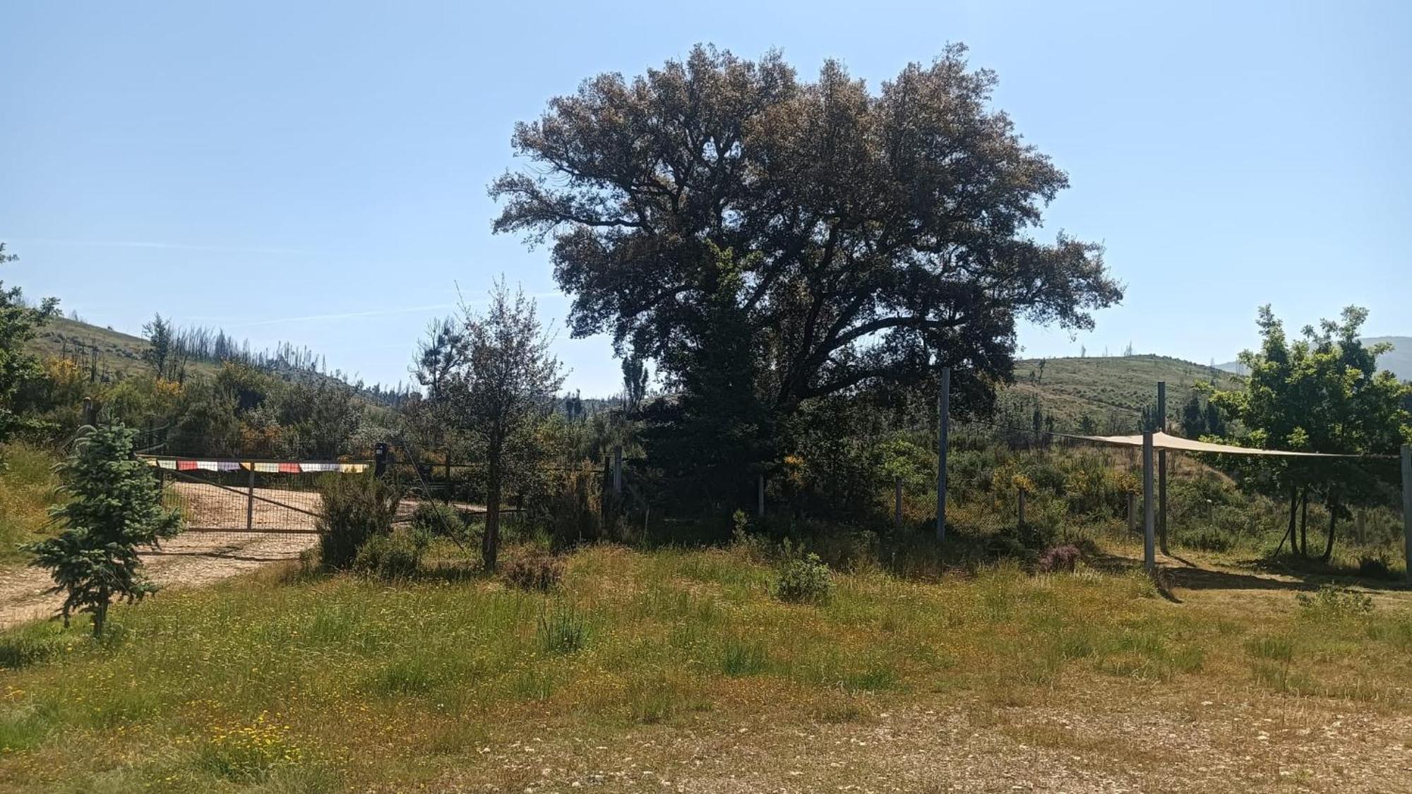 Quinta D' Luzarcoiris Villa Arganil Exterior photo